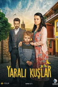 Pajaros Heridos (Yarali Kuslar)